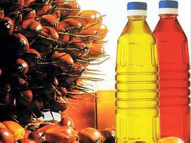 Palm Oil_Refined Palm Oil_Crude Palm Oil 100_ Refined Palm oil